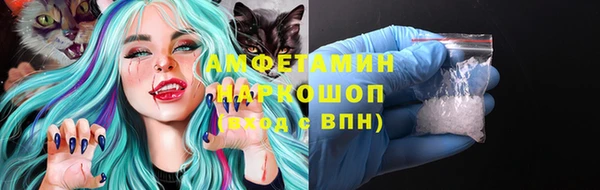 бошки Новодвинск