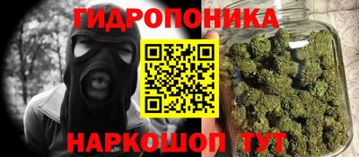 стаф Аргун