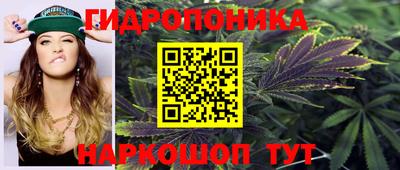 стаф Аргун