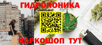 стаф Аргун