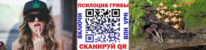 Псилоцибиновые грибы прущие грибы Мирный
