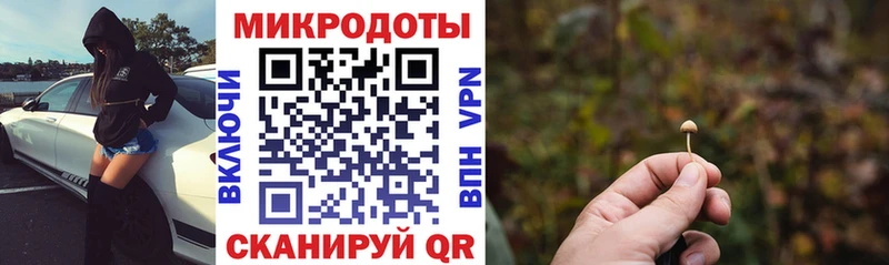 omg как зайти  Мирный  Галлюциногенные грибы GOLDEN TEACHER 