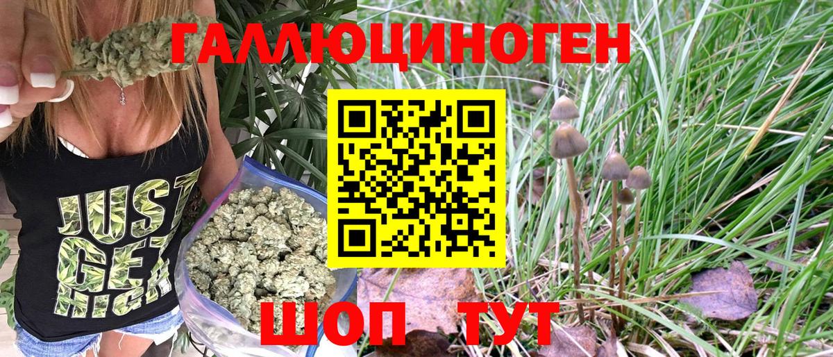 Галлюциногенные грибы GOLDEN TEACHER Мирный