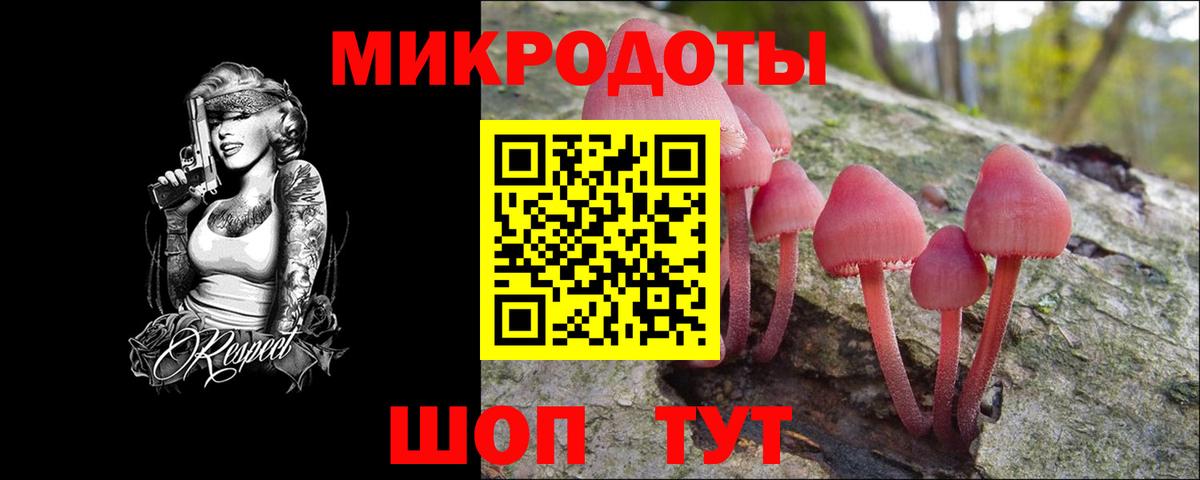 Мирный  Псилоцибиновые грибы Cubensis  Вход с VPN 
