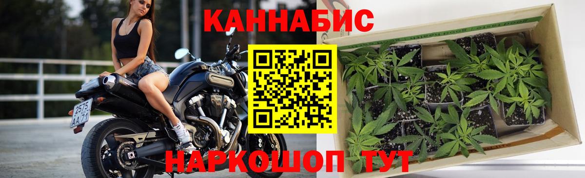 Бошки марихуана White Widow Мирный